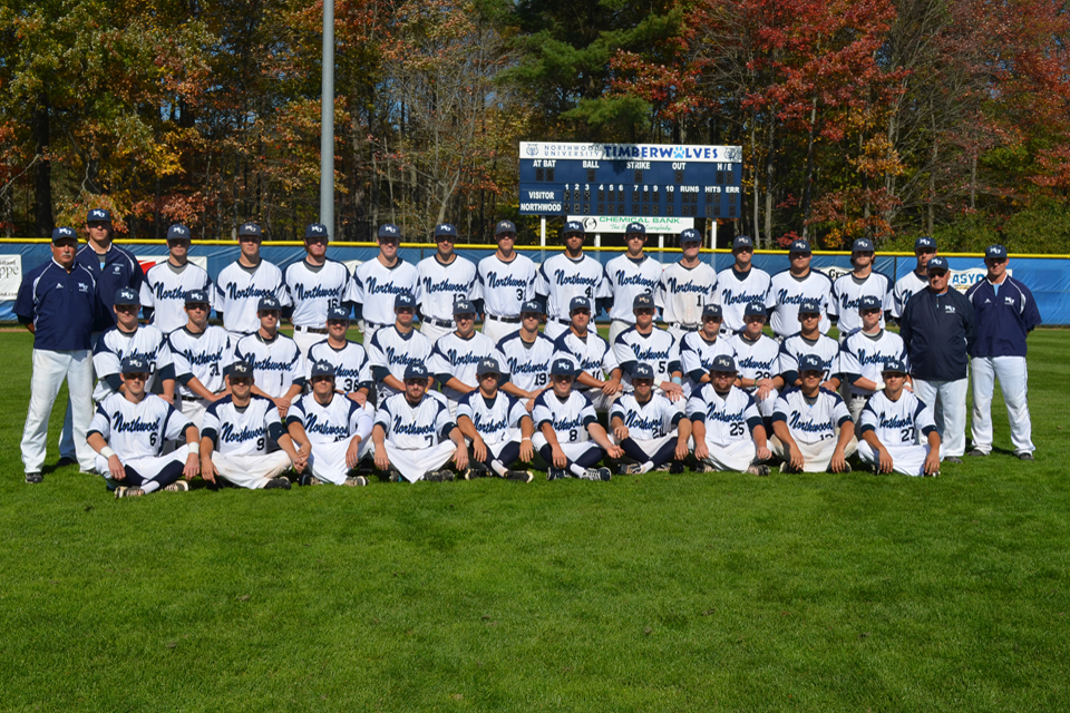 Baseball Places Five On All-GLIAC Team