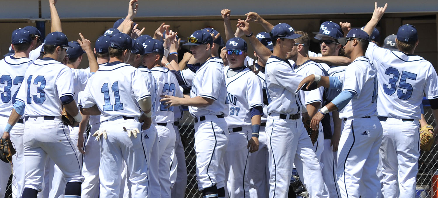 Doug Walters Named Assistant Baseball Coach
