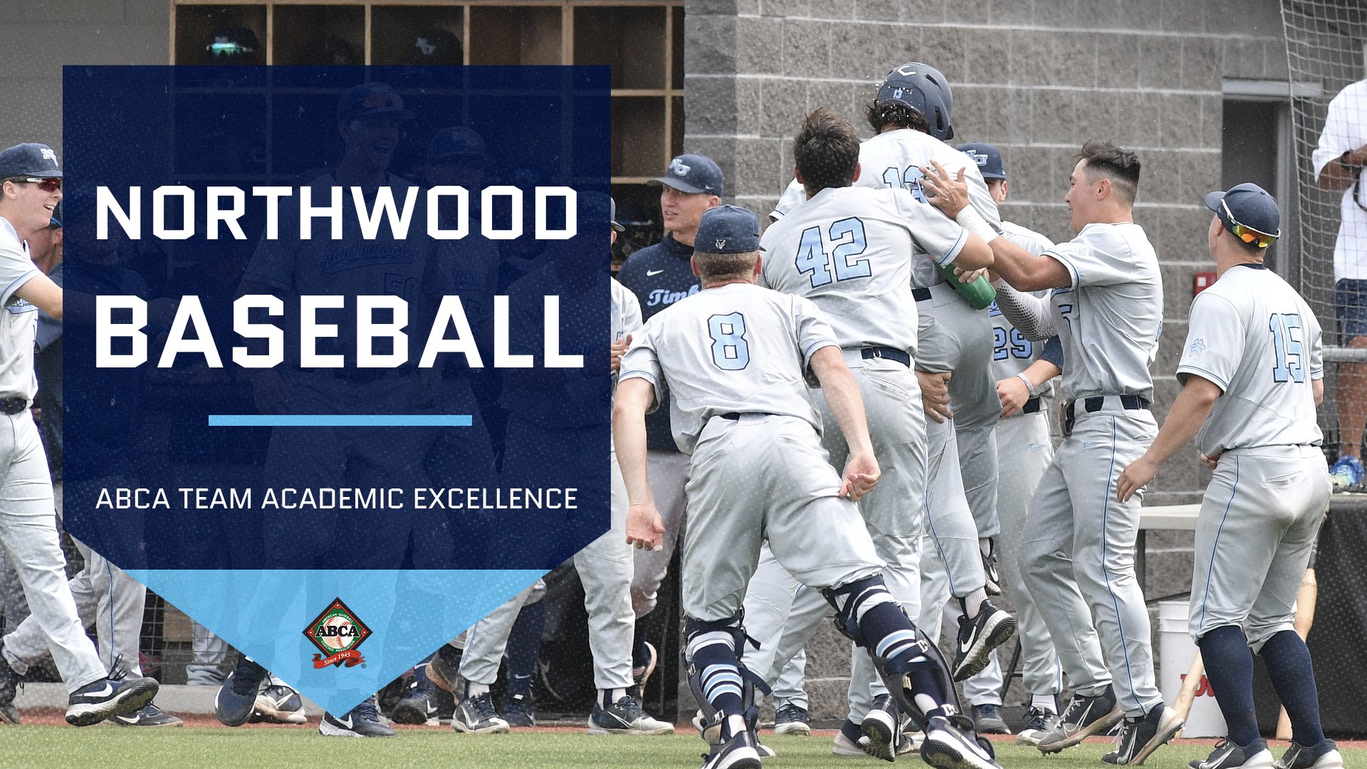 Baseball Earns ABCA Team Academic Excellence Award