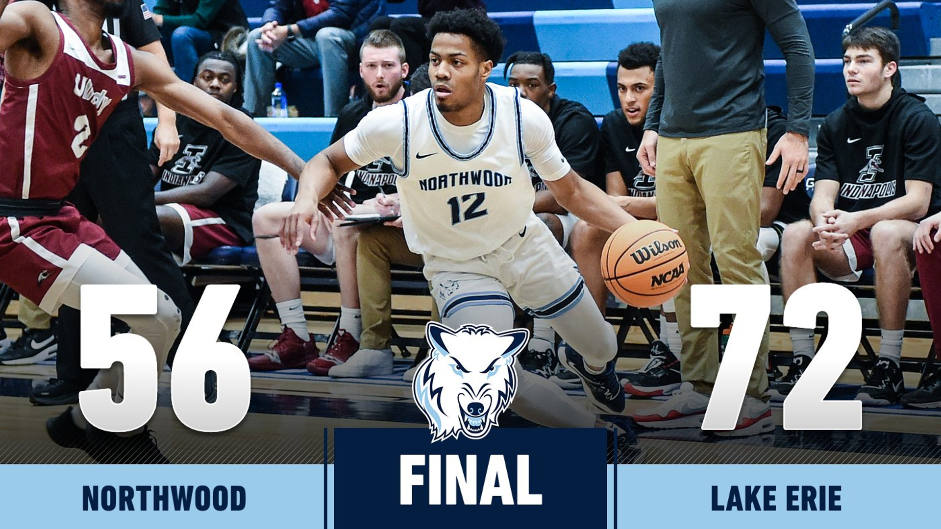 Men's Basketball Falls To Lake Erie 72-56