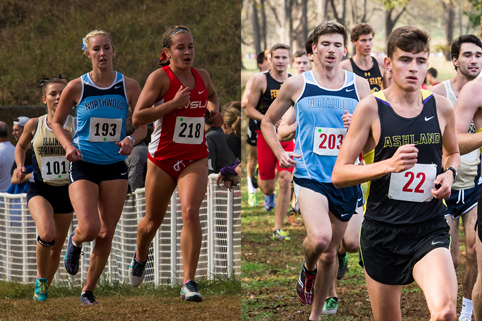 Cross Country Teams Compete at NCAA II Midwest Regional Meet