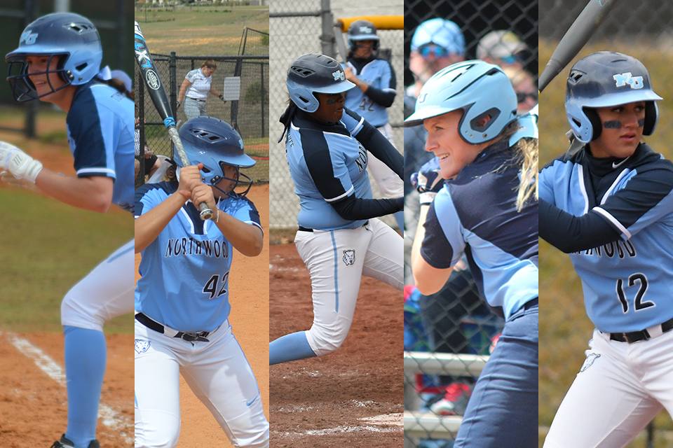Softball Places Five On All-GLIAC Teams