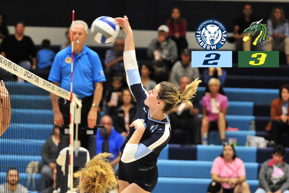 Volleyball Falls In Five Sets At Tiffin