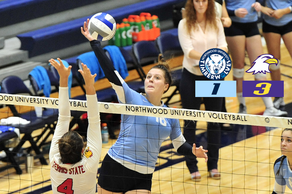Volleyball Falls 3-1 At Ashland